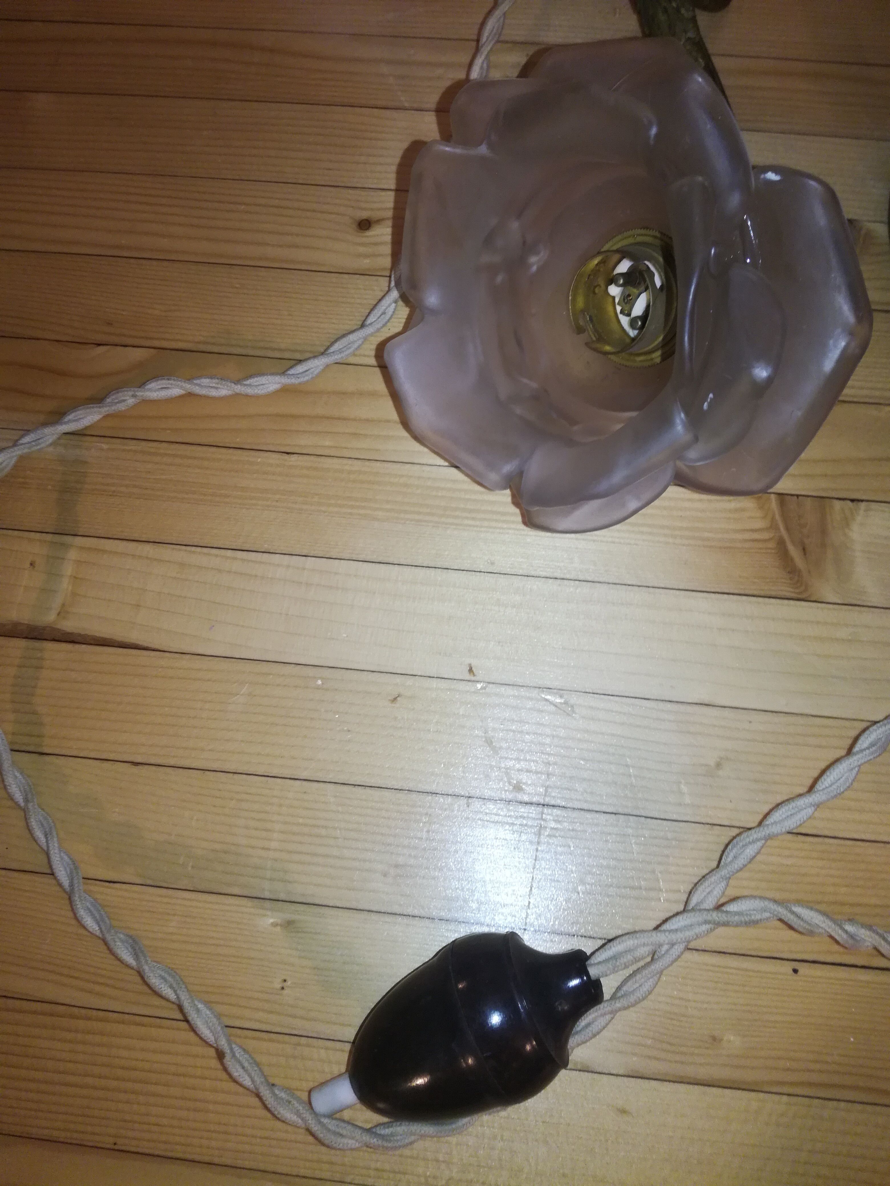 Pair of brass and glass flowers sconces