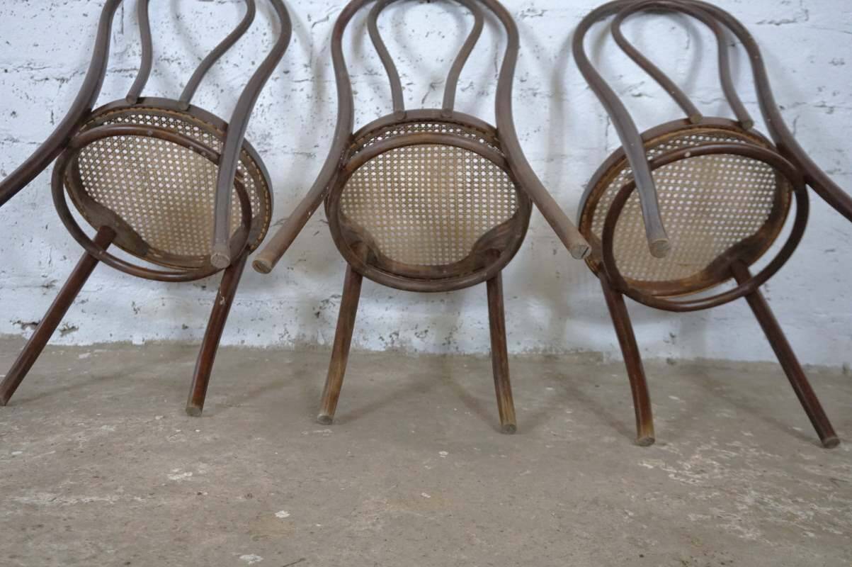 Bistro chairs No. 18 in wood and caning