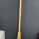 Baumann parrot coat holder