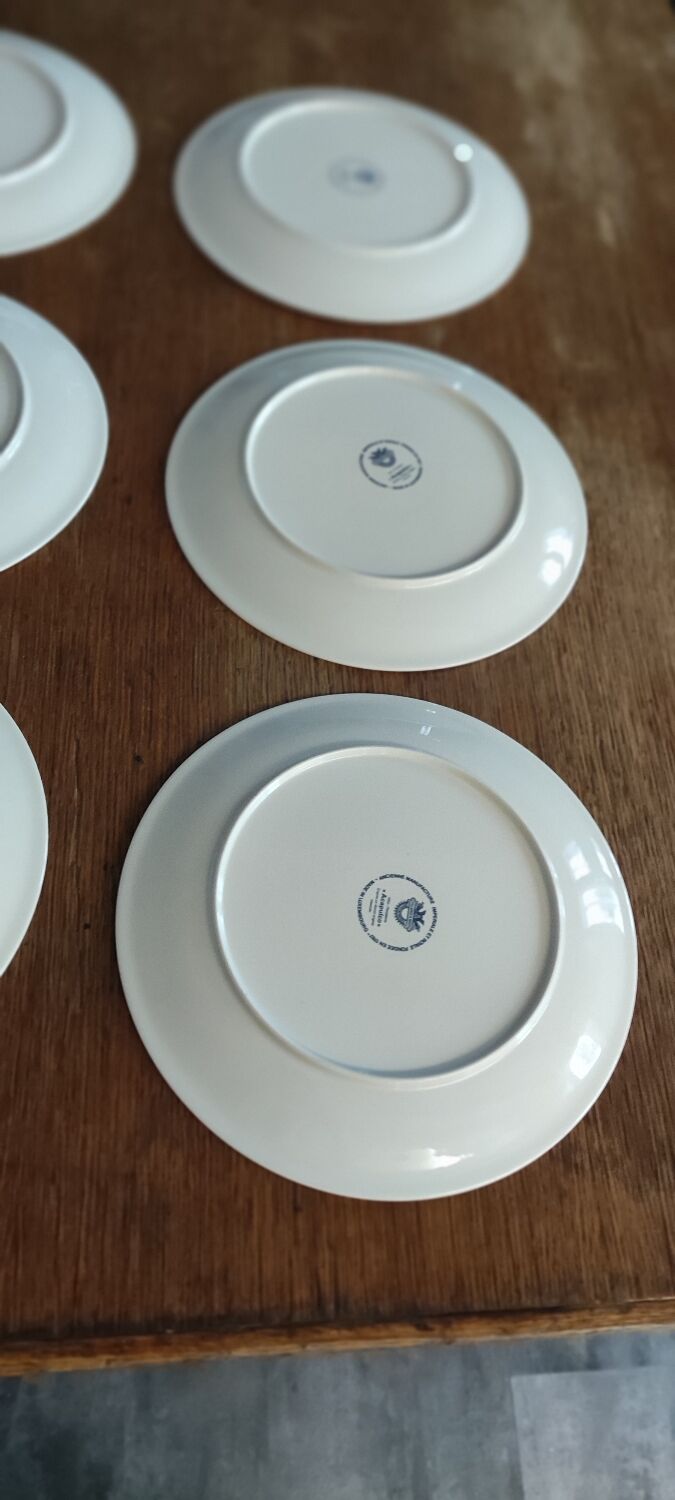 6 flat plates acapulco villeroy and bosch