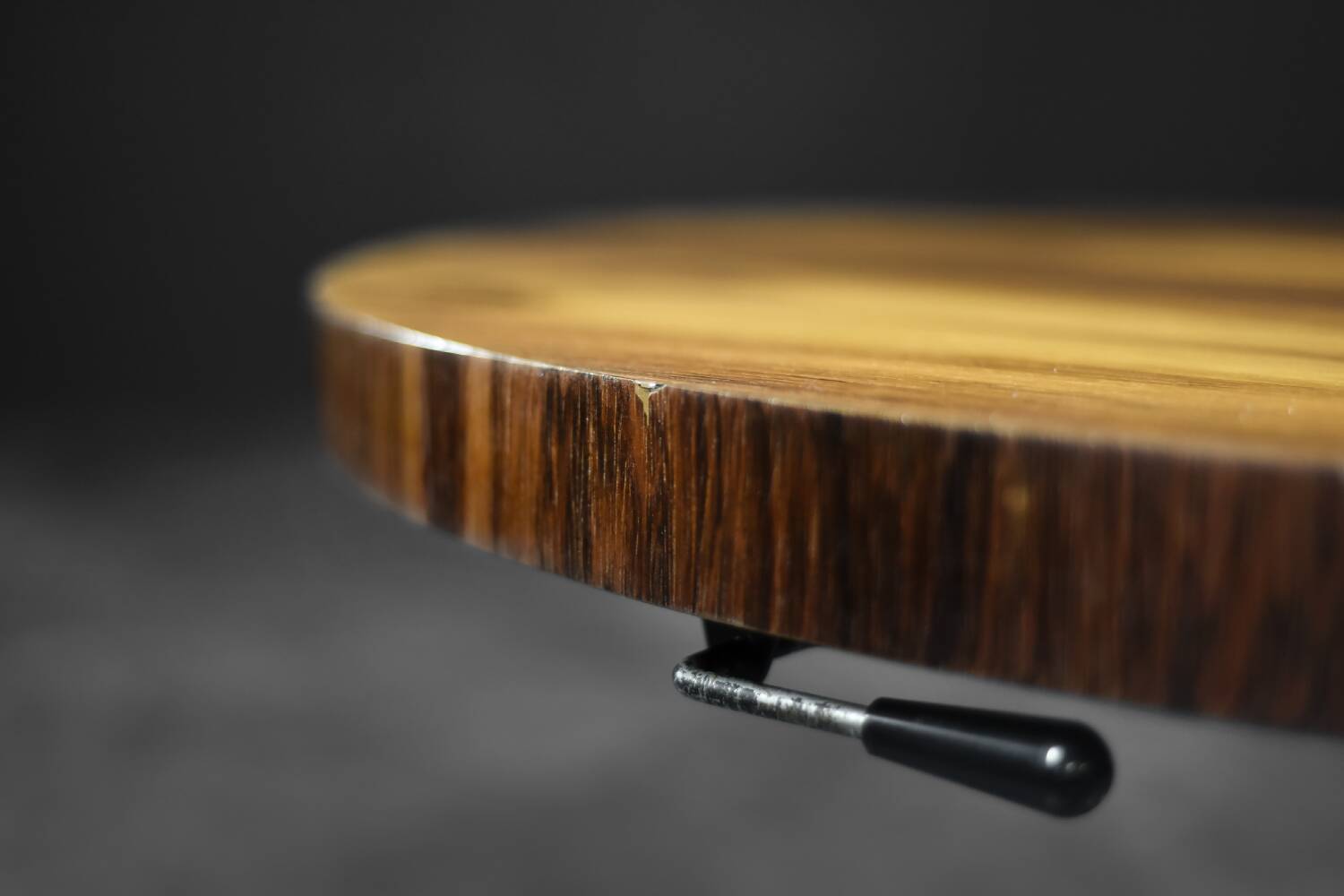 Mid-Century German Modern Round Rosewood Coffee Table from Ilse Möbel