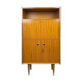 Vintage secretary/closet
