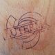 Suite of 6 chairs bistro Luterma for Stella