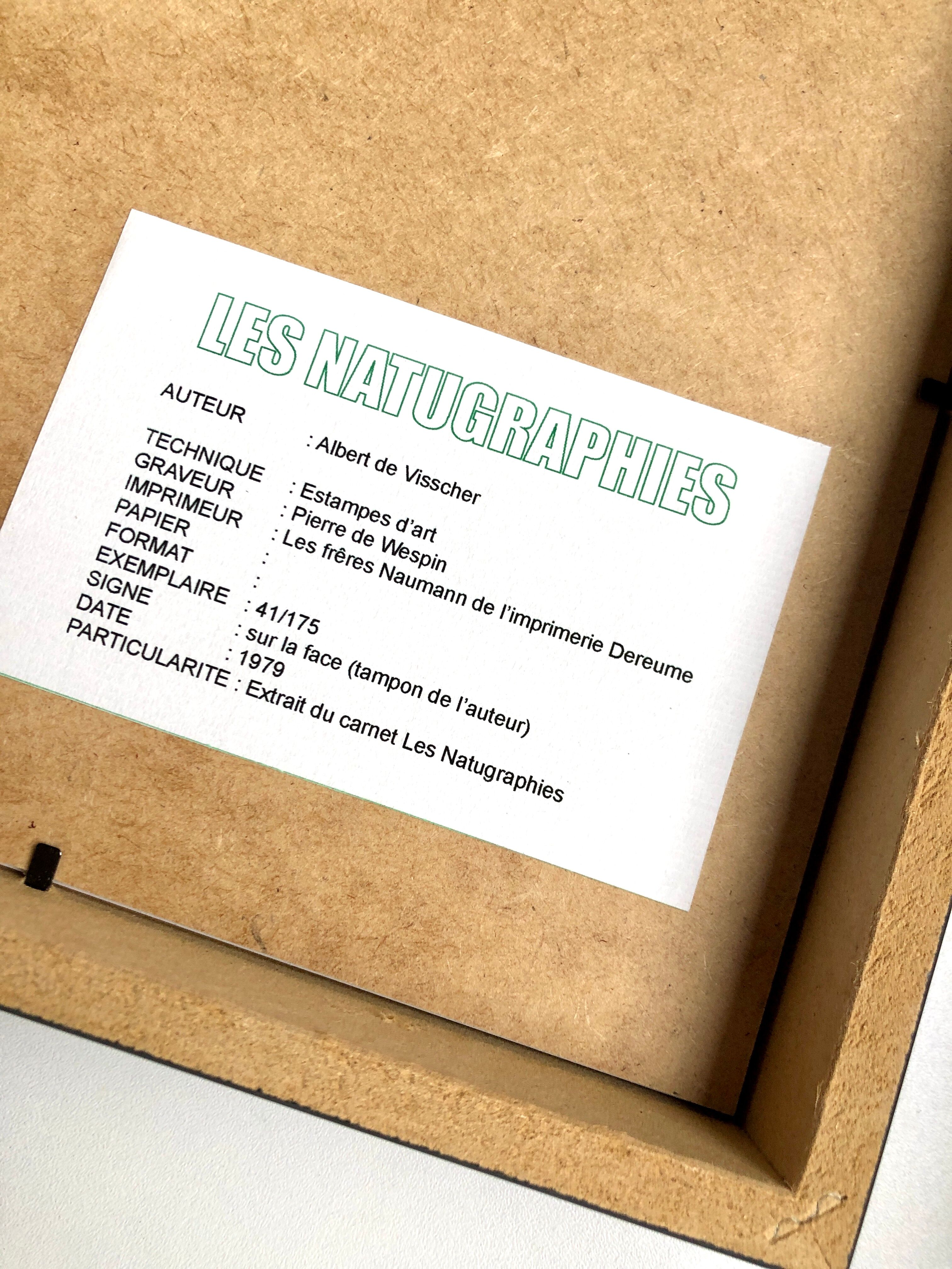 Framed lithograph - extract from the notebook "Les Natugraphies" - Albert de Visscher