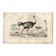Antique engraving 1849 - Ostrich by, Africa, runner, giant egg