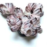 Barnacle block shell on a 19th-century wooden base - cabinet of curiosities