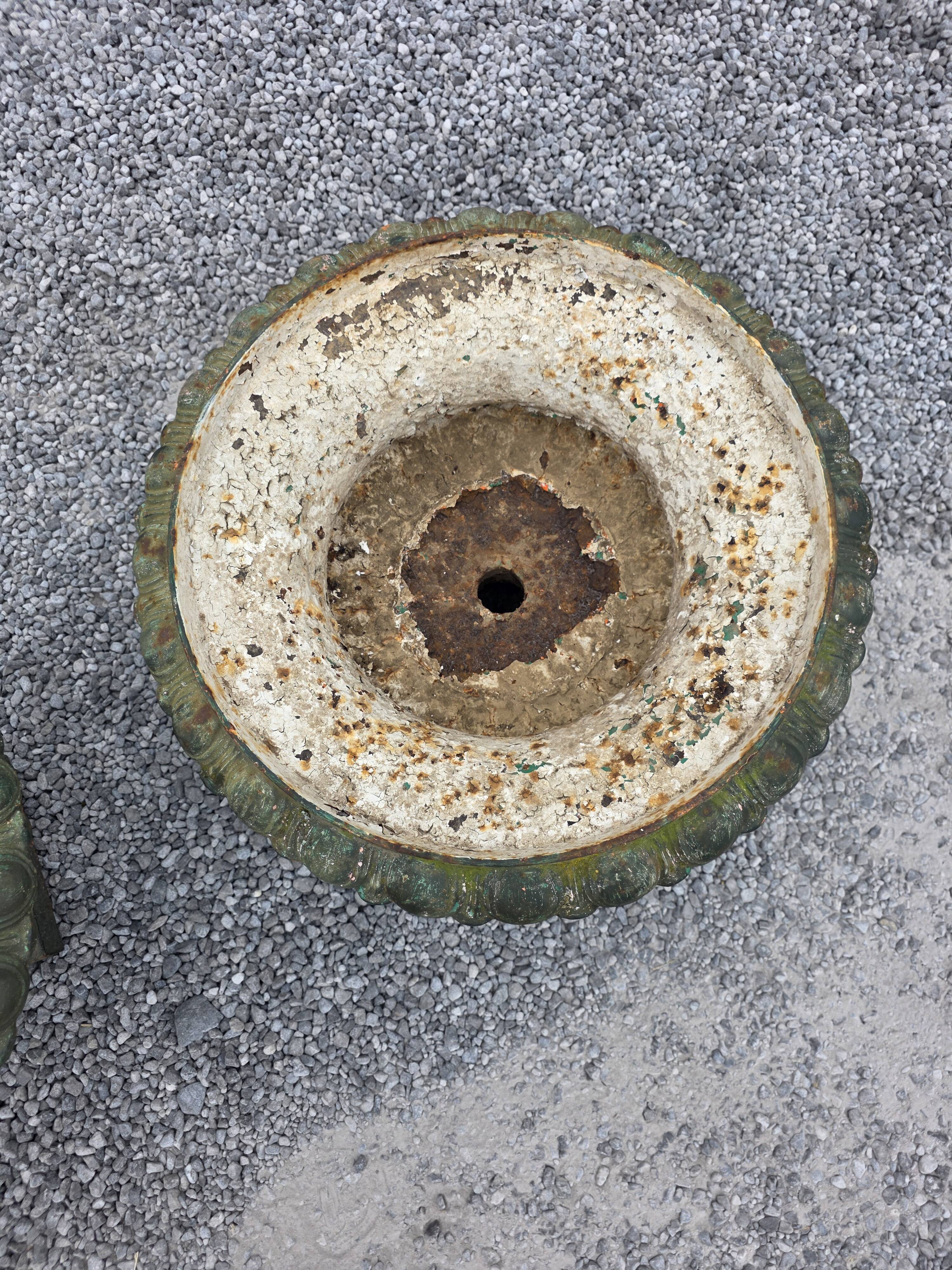 Pair of Medici vases in cast iron from the 19th century, 55cm wide.