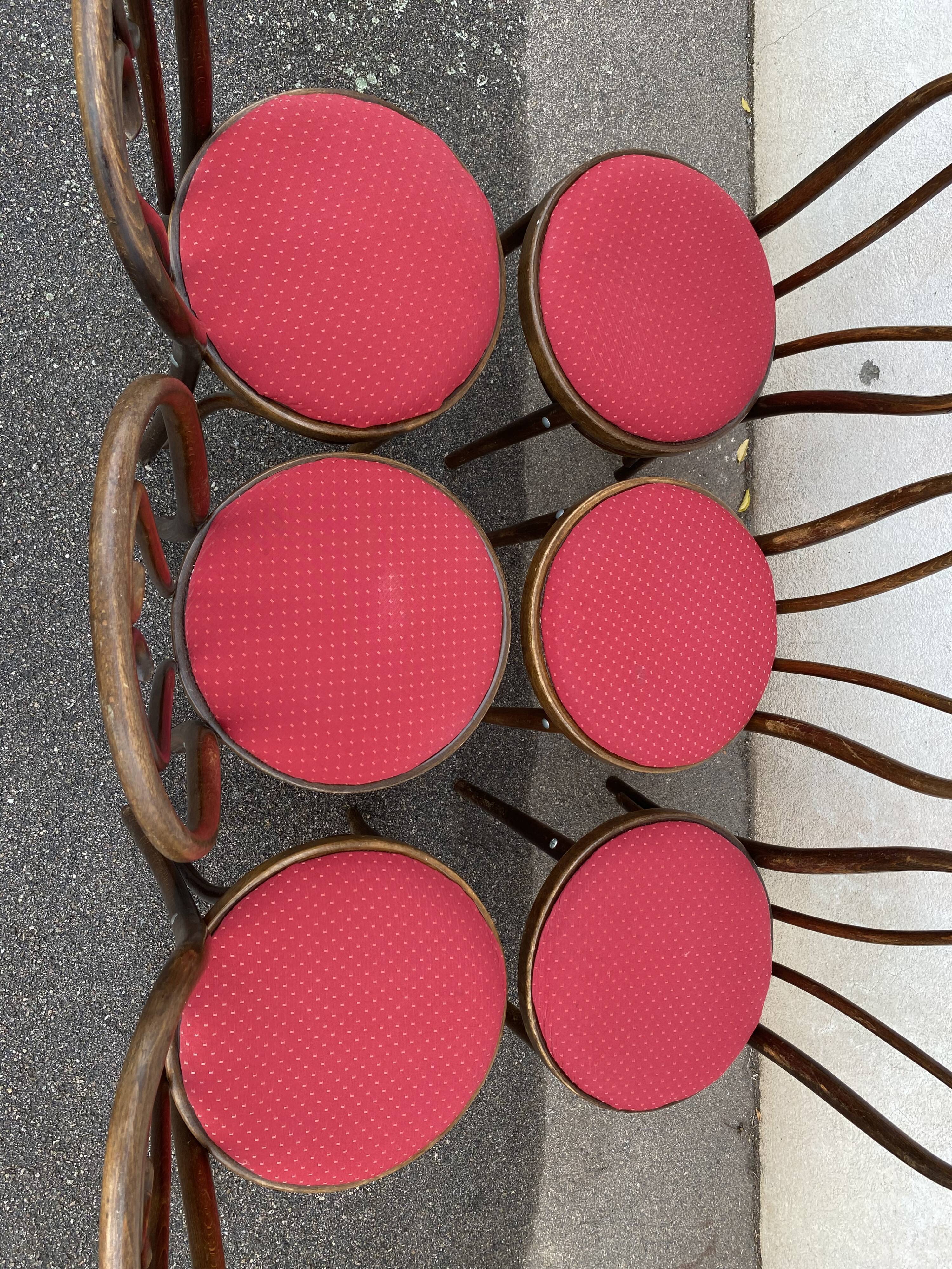 Set of 6 restaurant chairs