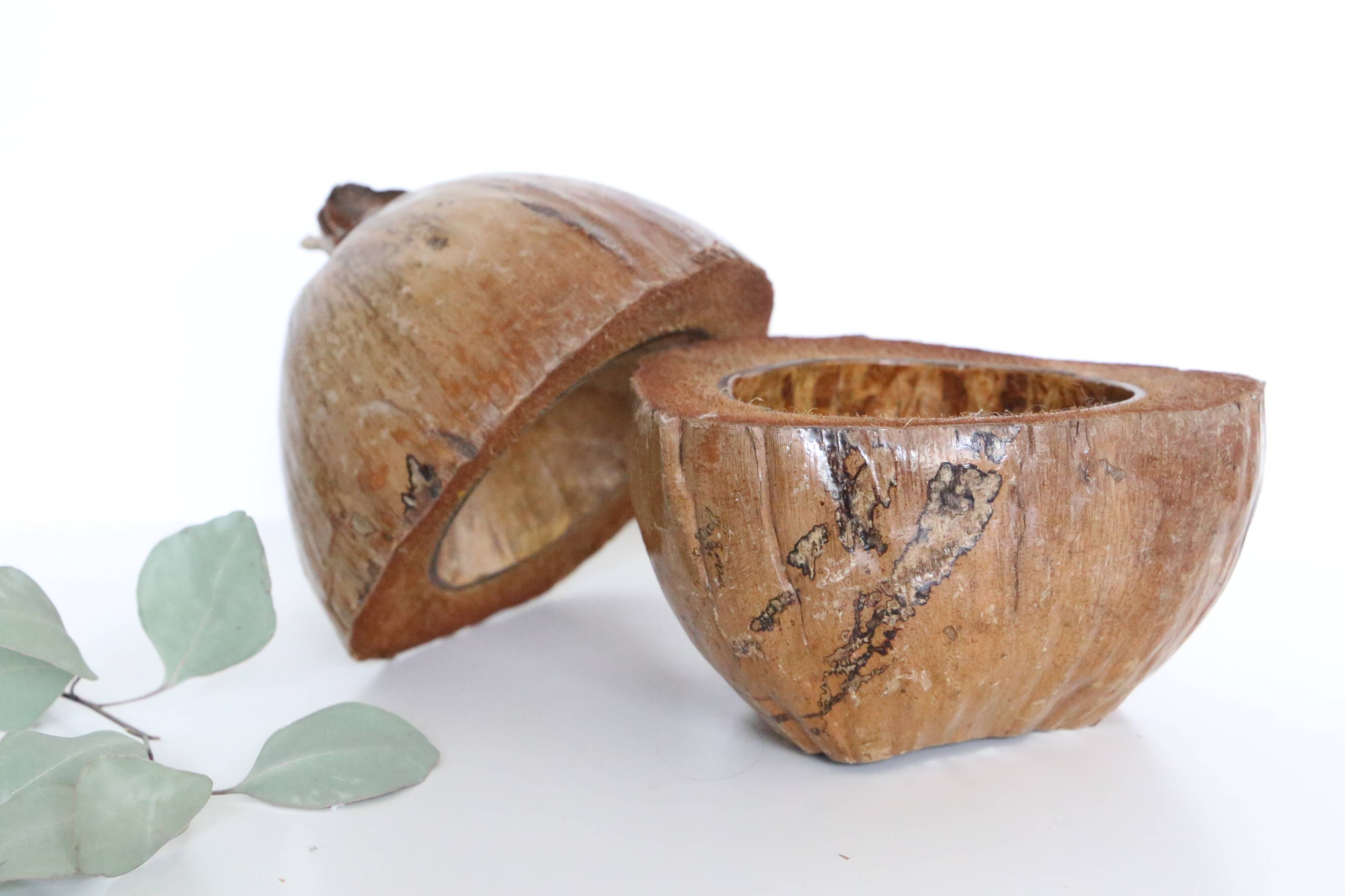 Ice bucket, nature decoration, exotic