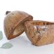 Ice bucket, nature decoration, exotic