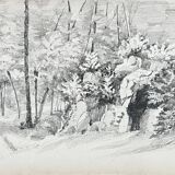 Landscape drawing: in the Forest of Asnières - 49