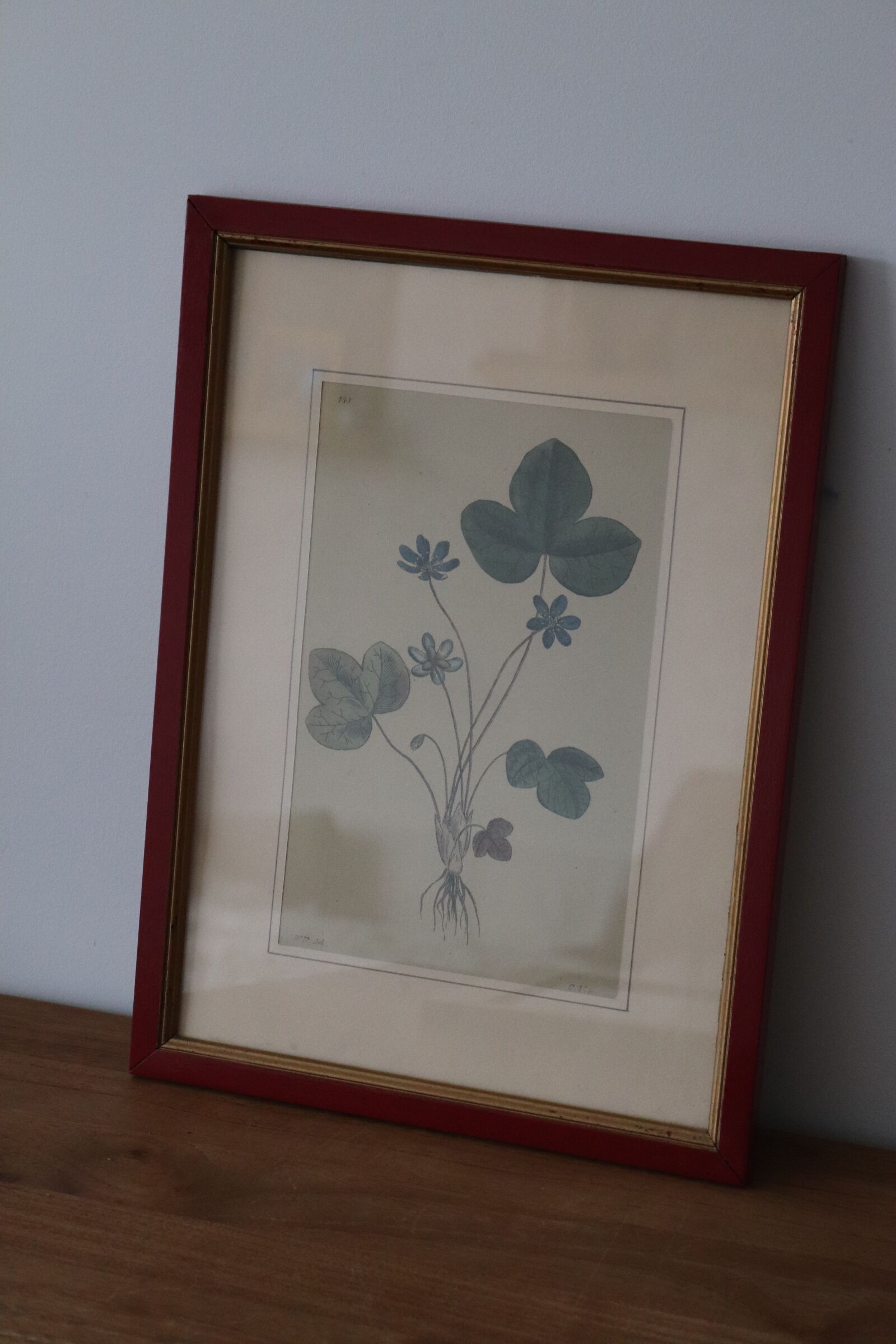 Vintage clover botanical frame
