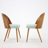 Antonin Suman set of four dining chairs, Czechoslovakia, 1960s