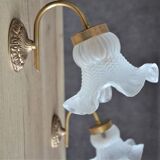 Lot of 2 wall lampshades glass tulip lampshades, gold metal supports