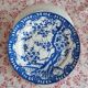Assiettes japonaises