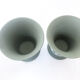 Paire de vases "Médicis" en biscuit Wedgwood 1950