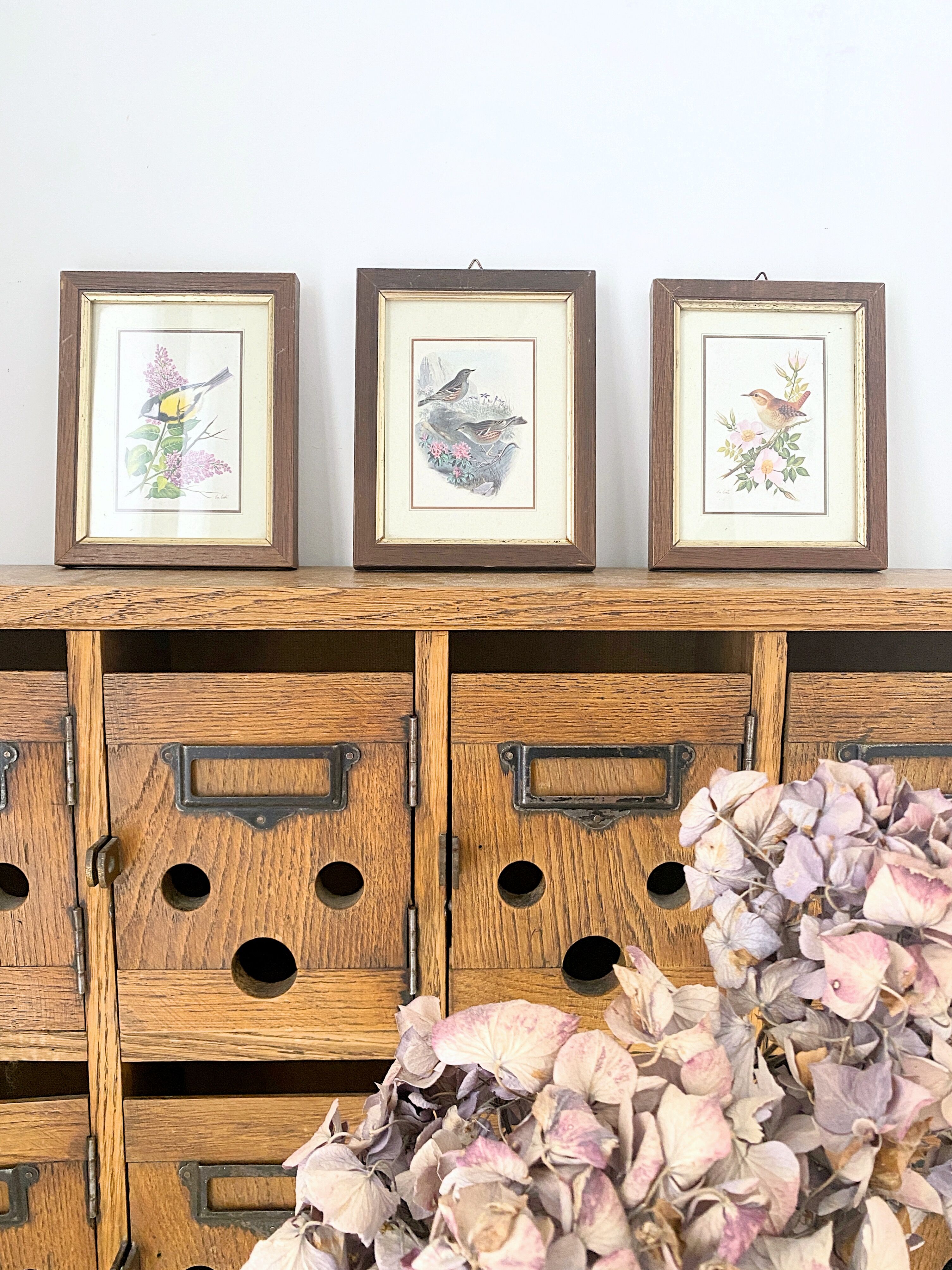 Set of three ornithological frames
