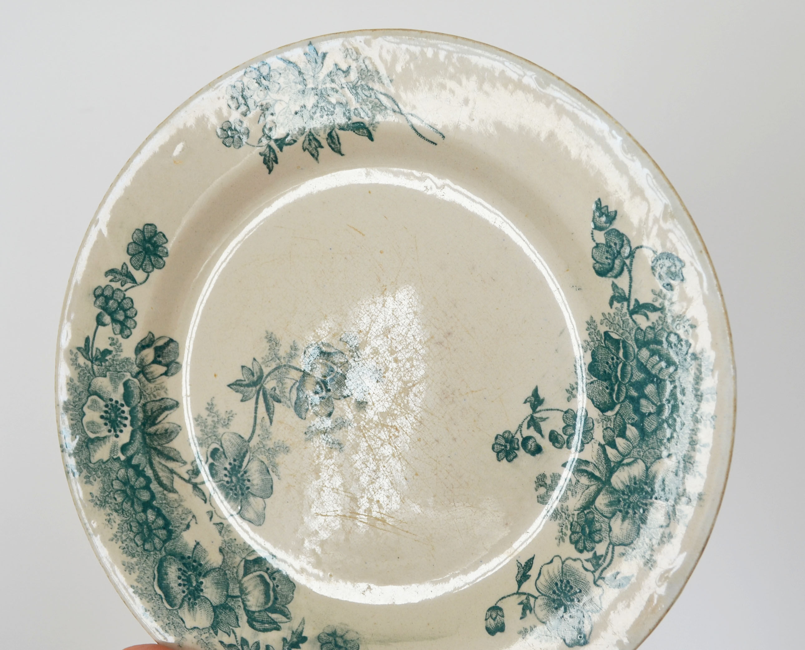 4 flat plates "Anemones" iron earth