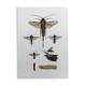 Antique illustration "insects", Vintage Insect Print, 1960s
