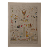 Original lithograph on acrobats
