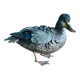 Canard en terre cuite polychrome