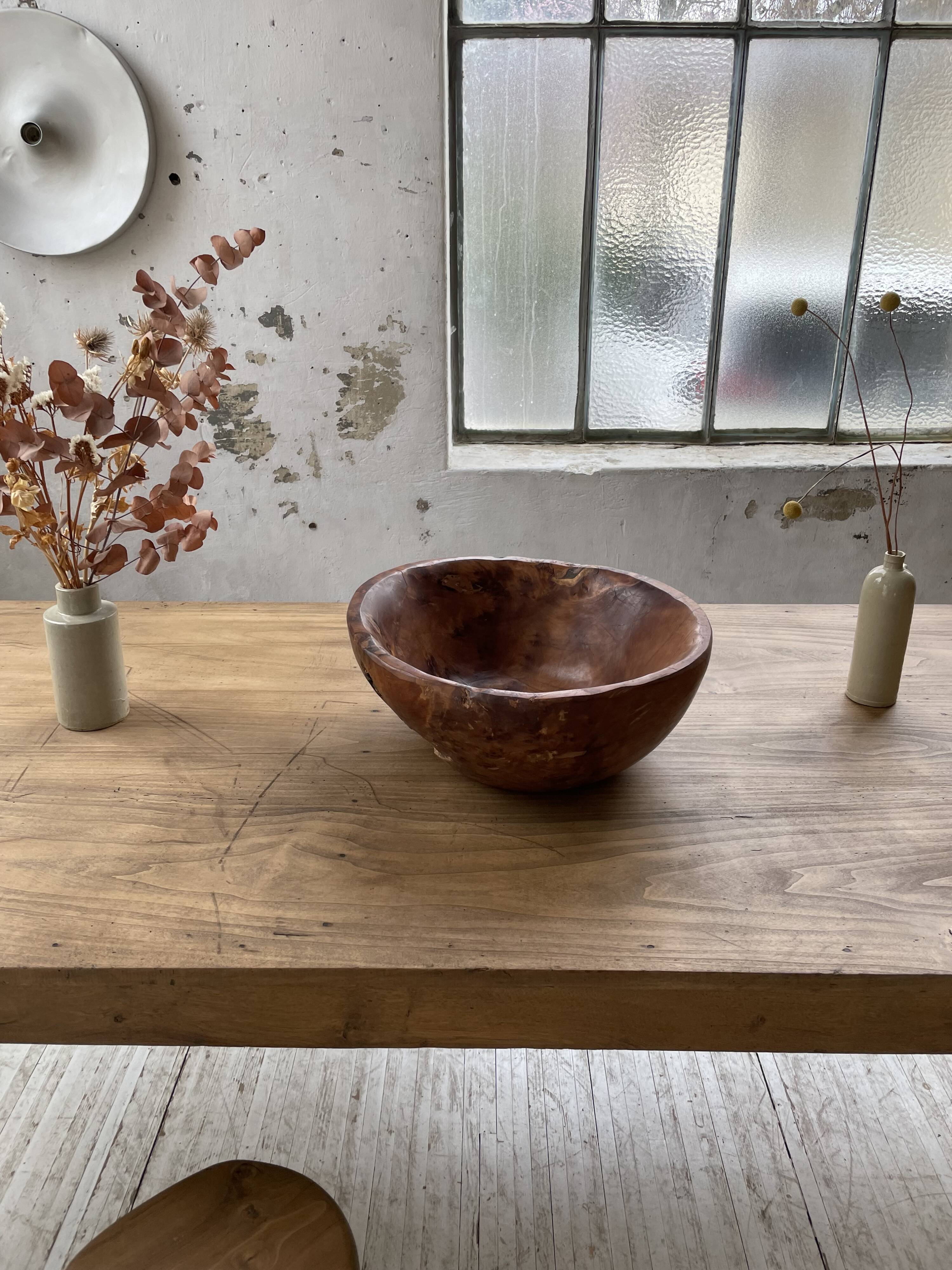 XL thuja root wooden dish