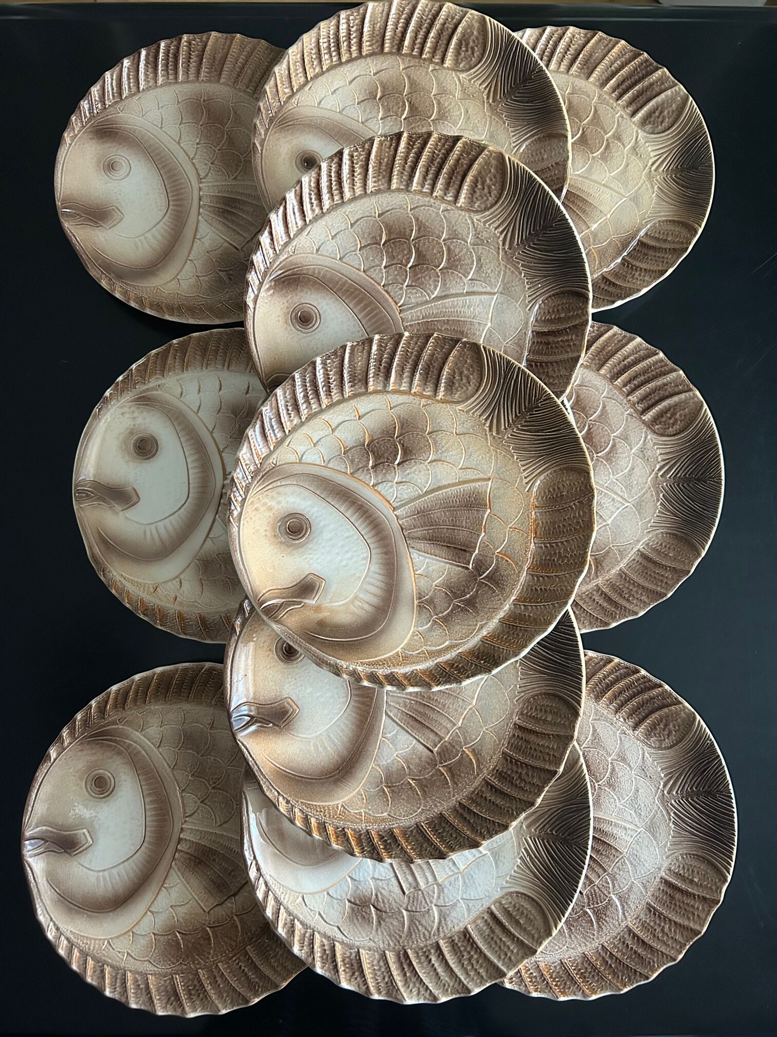 12 fish dinner plates