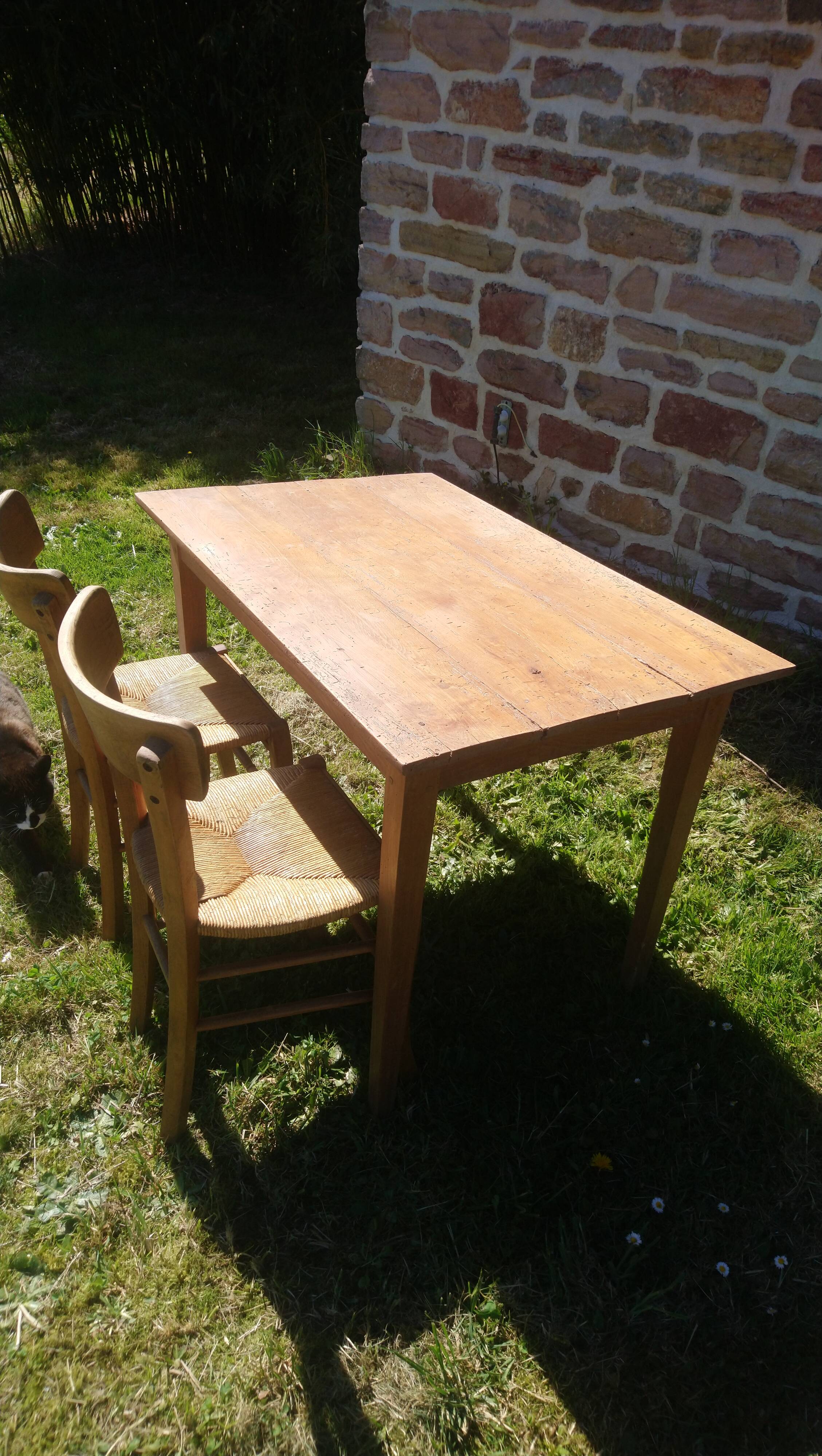 Tapered leg table, fir and beech