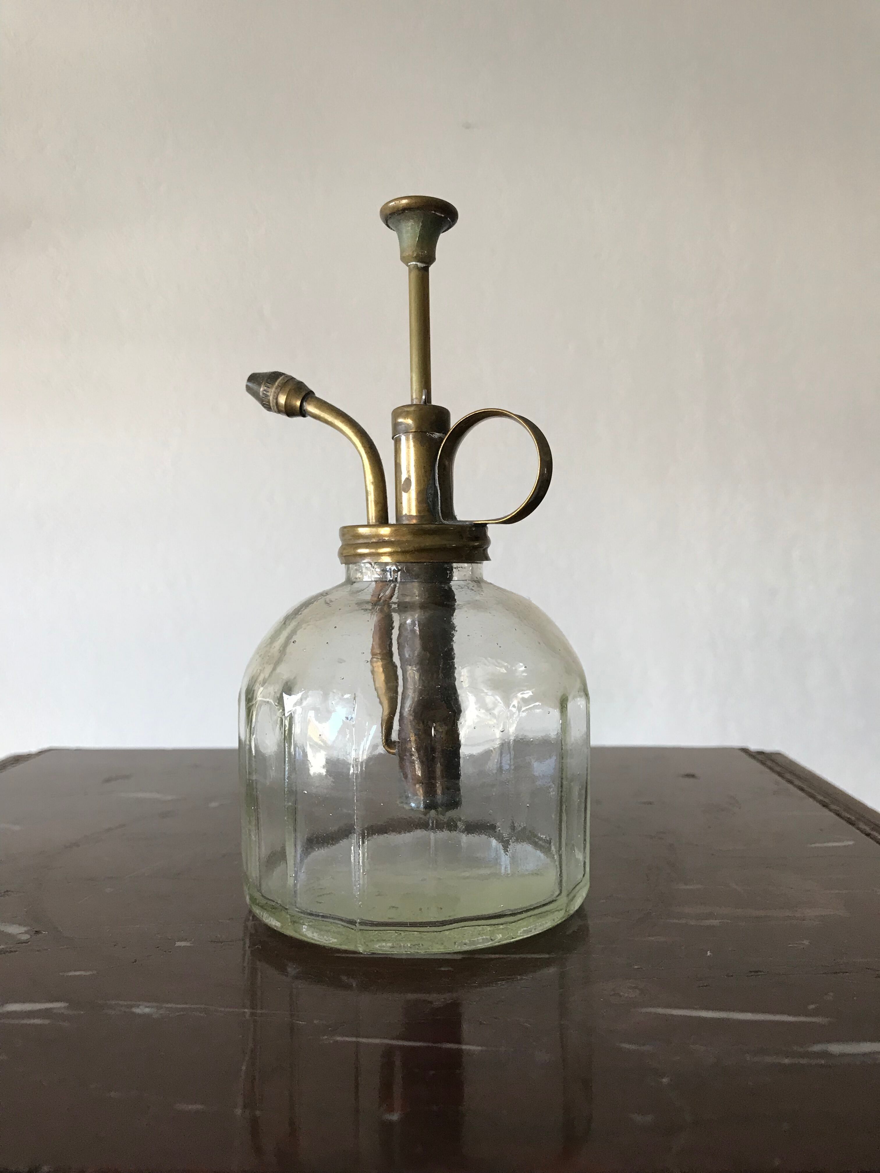 Mist for house plants