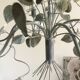 Antique metal chandelier