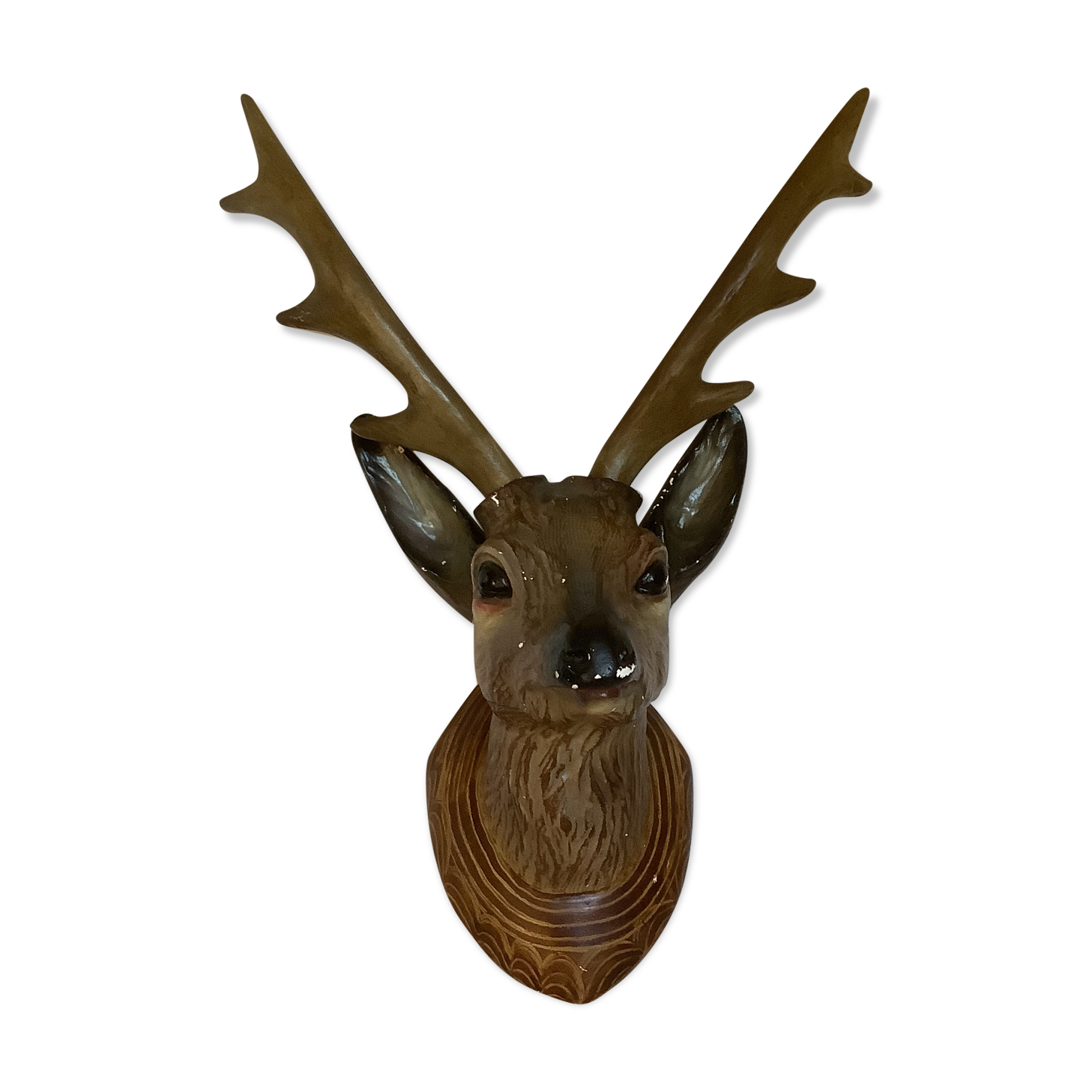 Former deer trophy