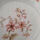 Set of 4 Limoges porcelain soup plates