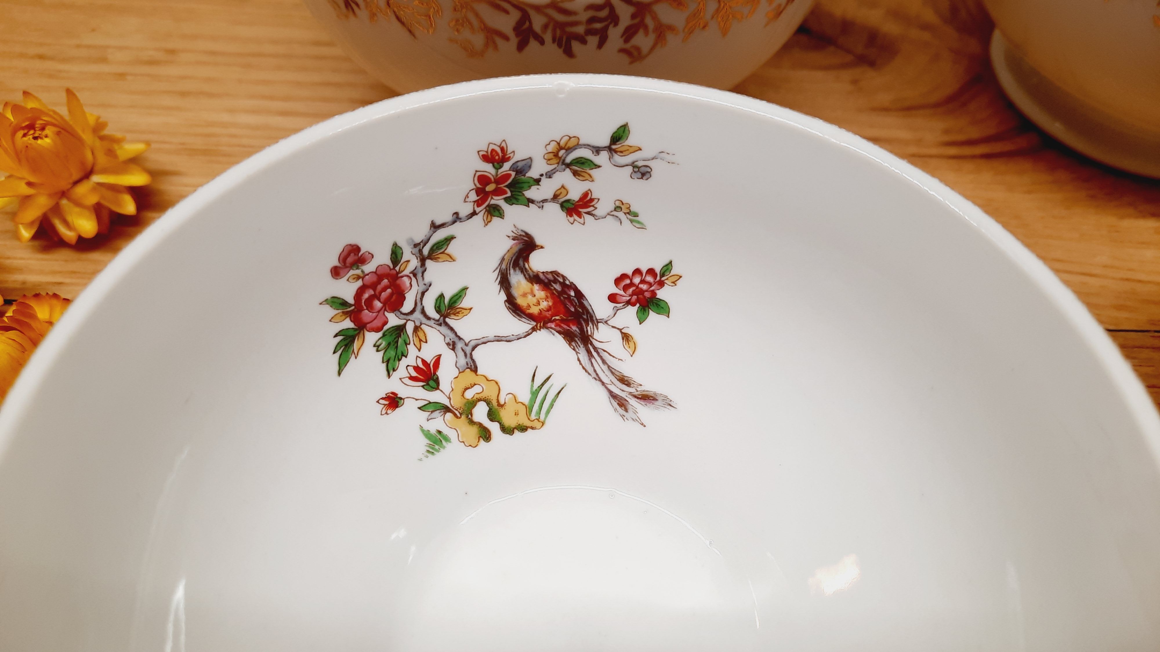 Set 4 bols porcelaine oiseaux de paradis