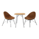 Mid-Century Italian Coffee Table and Two Chairs, 1960s