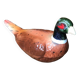 Old michel caugant terrine pheasant shape vintage ceramic