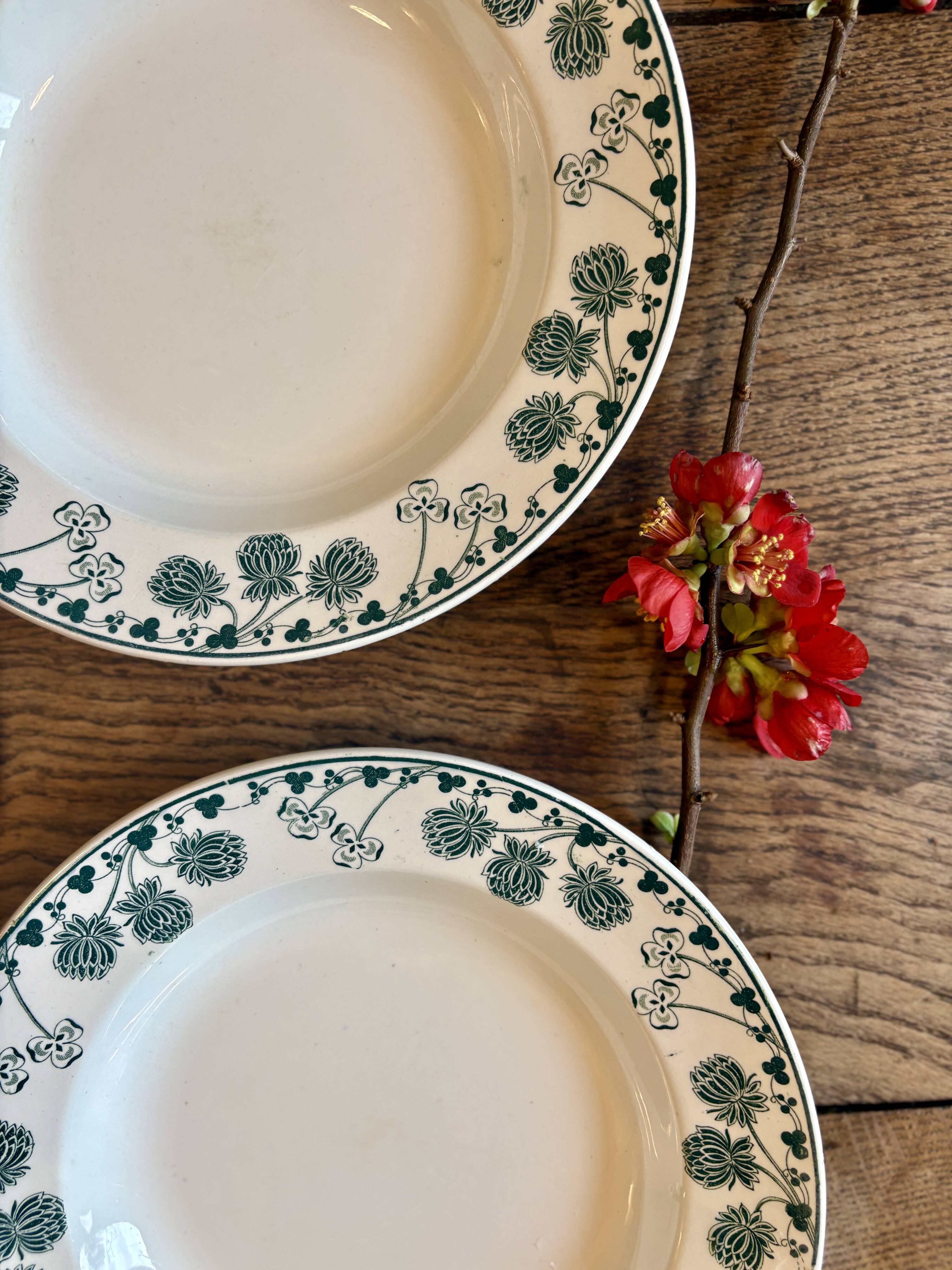 Set of 4 antique deep plates in ironstone - Clovers -