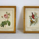 Pair of vintage boards under frame