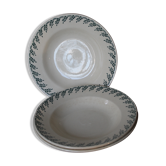 Hollow plates Iron earth green