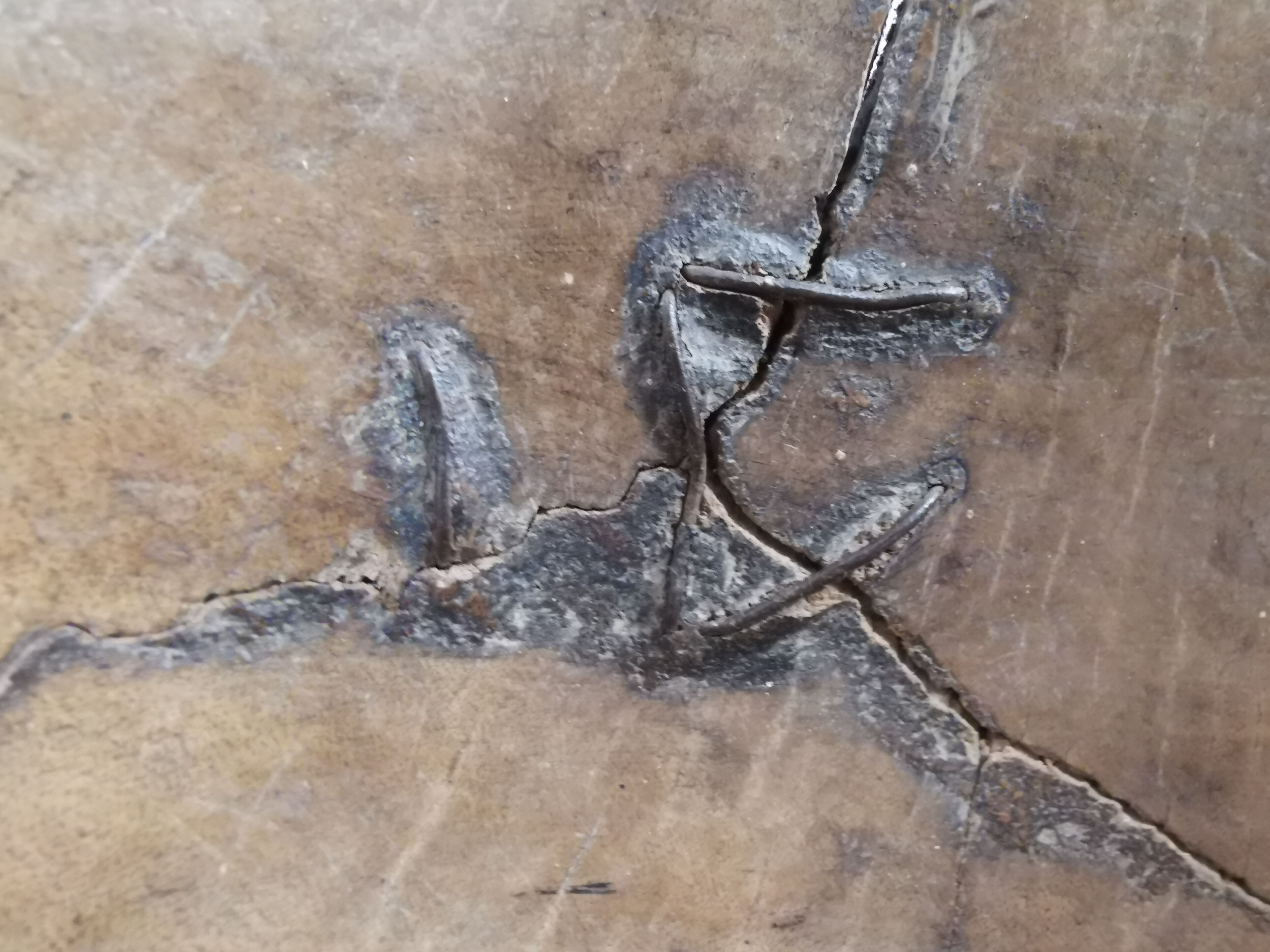 Ancient peulh calabash african art primitive arts vintage / africa / mid-century