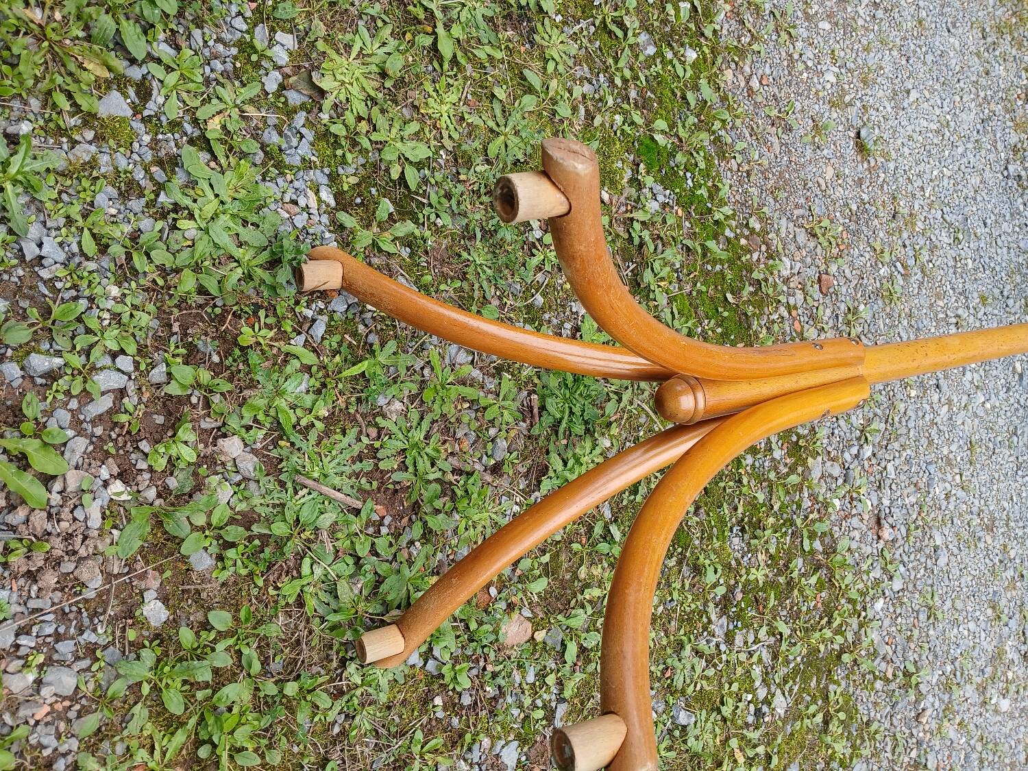 Antique parrot coat rack