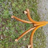 Antique parrot coat rack