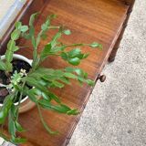Bureau console 1900 called bamboo