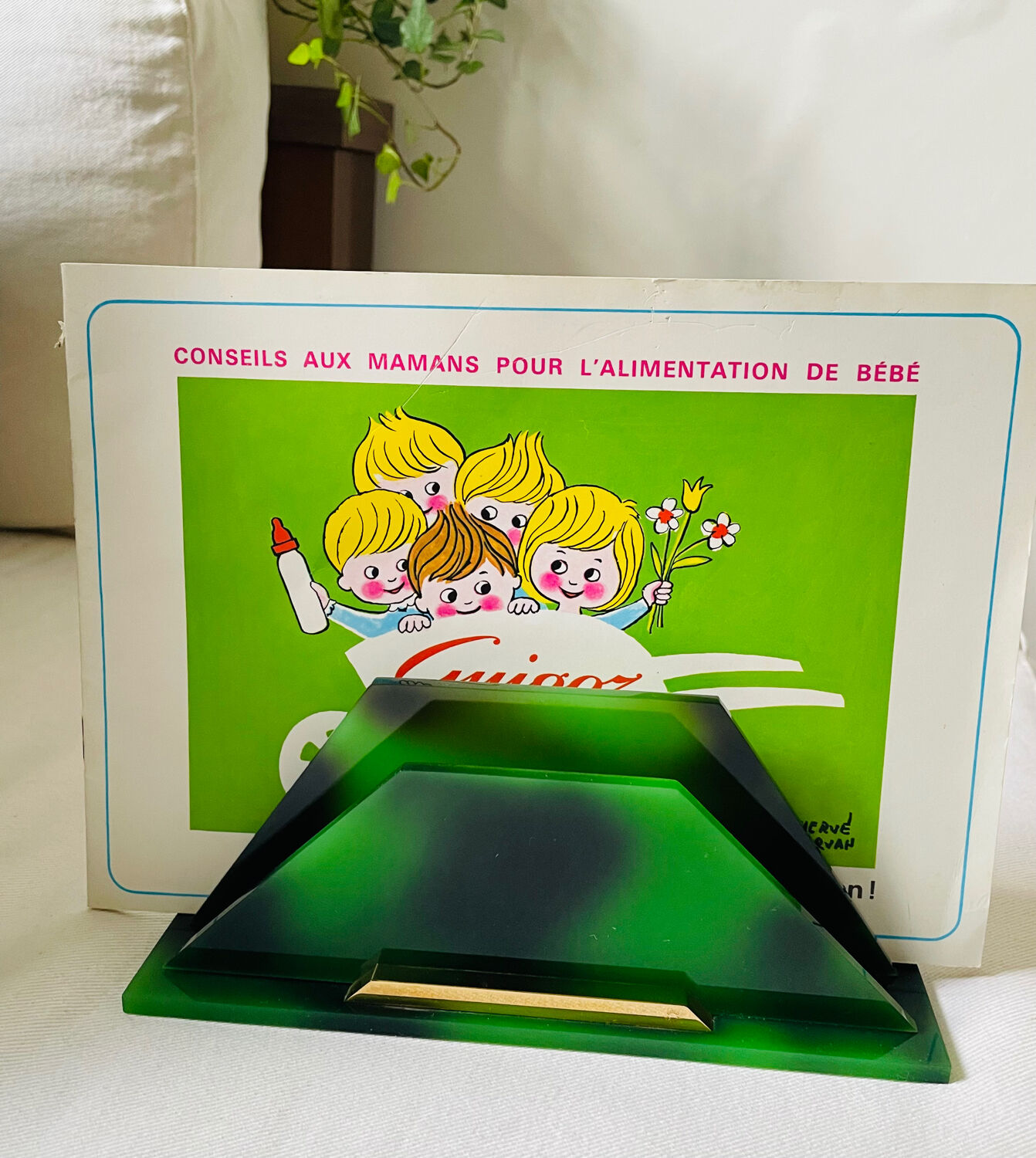 Mail rack tortoiseshell gold starry