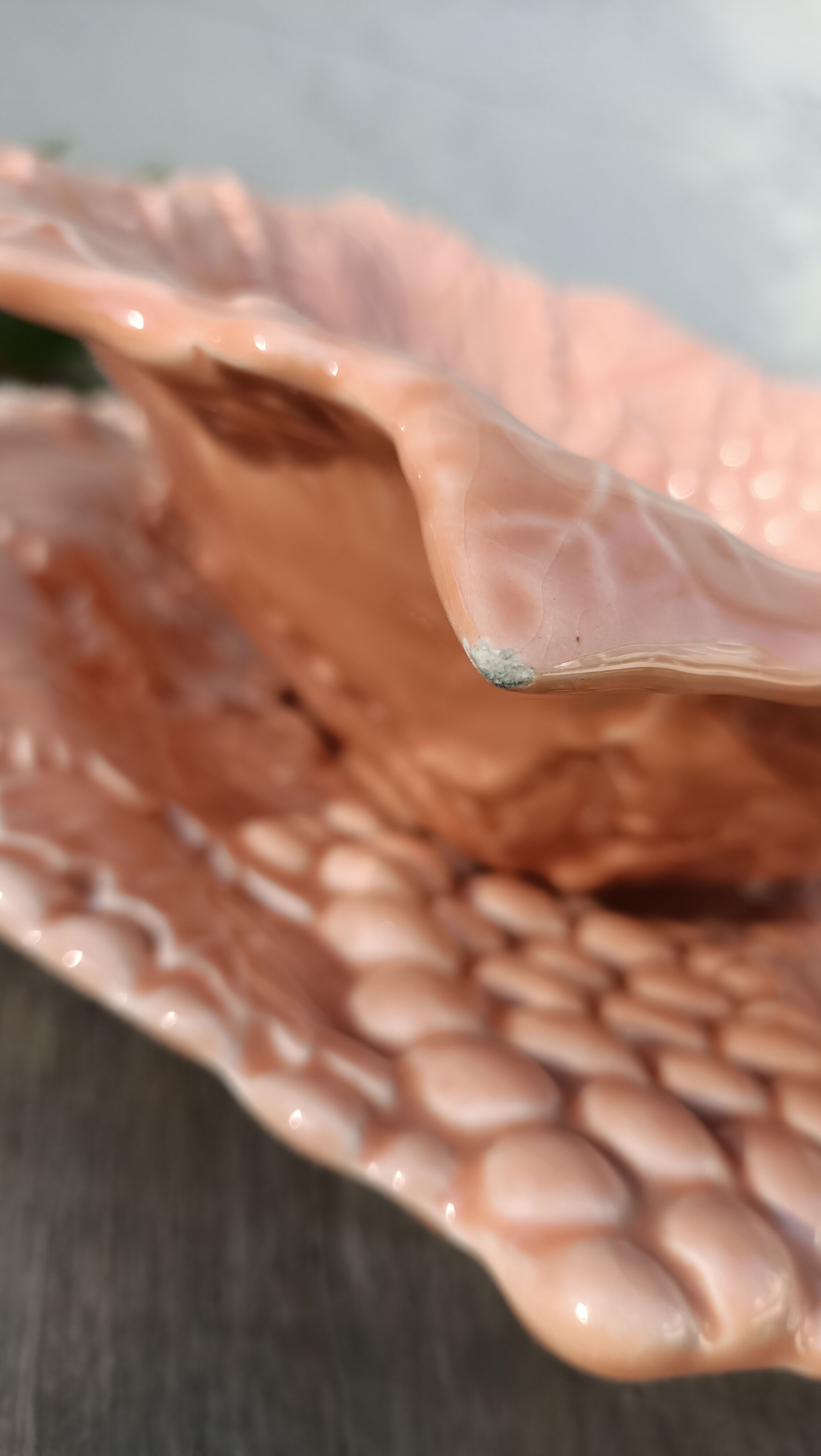 Drainer and slurry dish