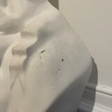 Bust of Marianne in plaster, Mauger model
