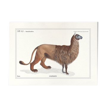 Chimera lithography engraving animal - the alpalion