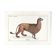 Chimera lithography engraving animal - the alpalion