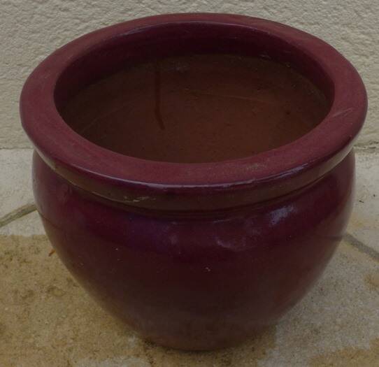 Garnet-colored terracotta flowerpot
