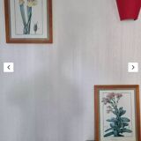 Framed botanical plates