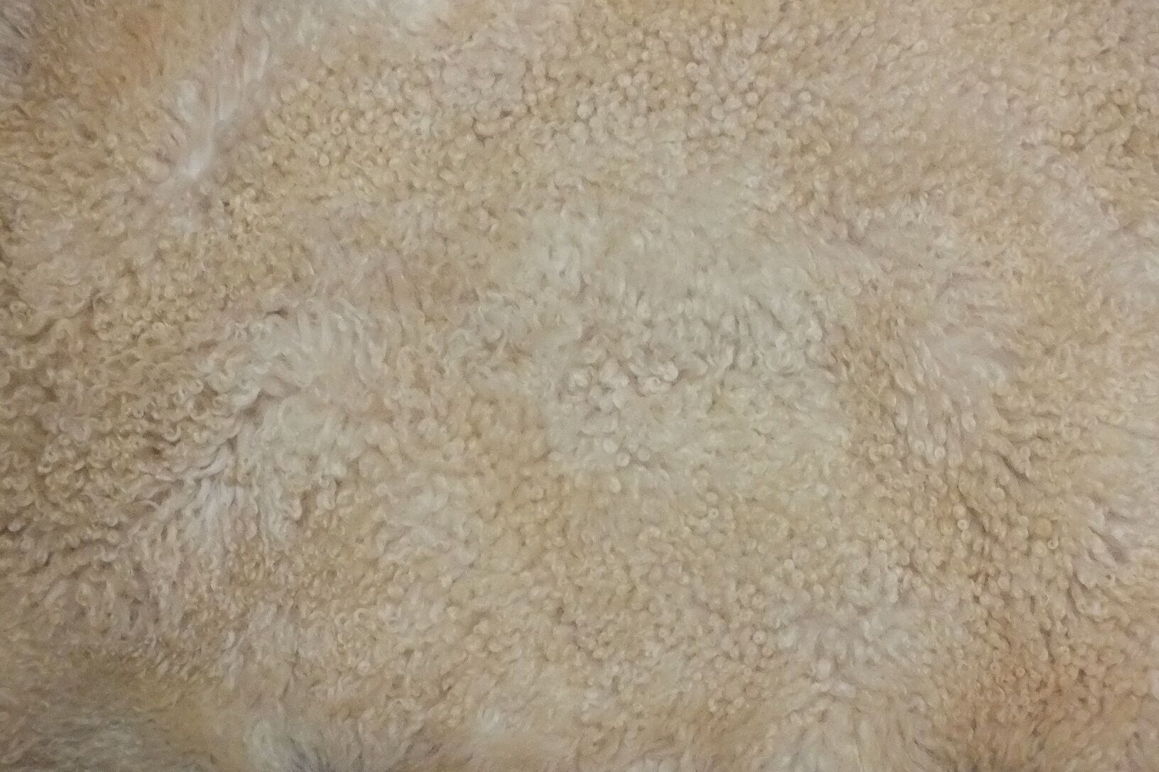 Carpet sheepskin 50 x 64 cm